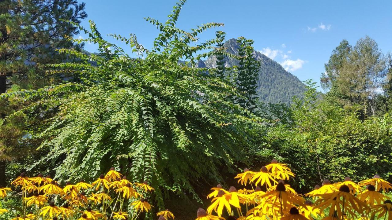 Ferienwohnung Gästehaus Weinrebe Schönau am Königssee Exterior foto