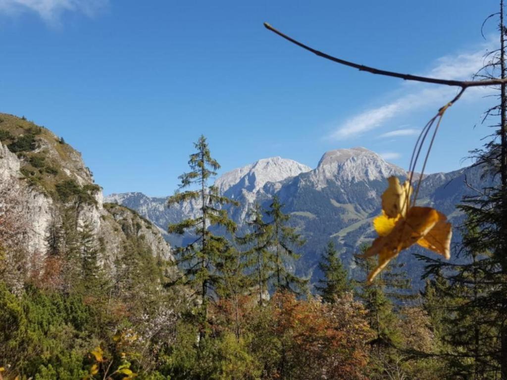 Ferienwohnung Gästehaus Weinrebe Schönau am Königssee Exterior foto